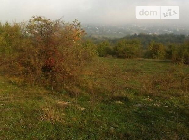 Земля сельскохозяйственного назначения в селе Боронявое, площадь 20 соток фото 1 Земля сельскохозяйственного назначения в селе Боронявое, площадь 20 соток фото 1