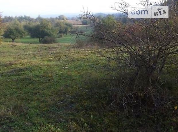 Земля сельскохозяйственного назначения в селе Боронявое, площадь 20 соток фото 1 Земля сельскохозяйственного назначения в селе Боронявое, площадь 20 соток фото 1