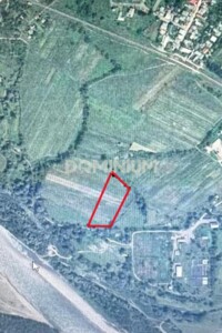 Земельна ділянка сільськогосподарського призначення в Хусті, площа 90 соток фото 2