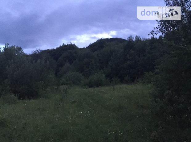 Продаж землі сільськогосподарського призначення, Закарпатська, Хуст, c. Велятино, Урочище Продаж землі сільськогосподарського призначення, Закарпатська, Хуст, c. Велятино, Урочище