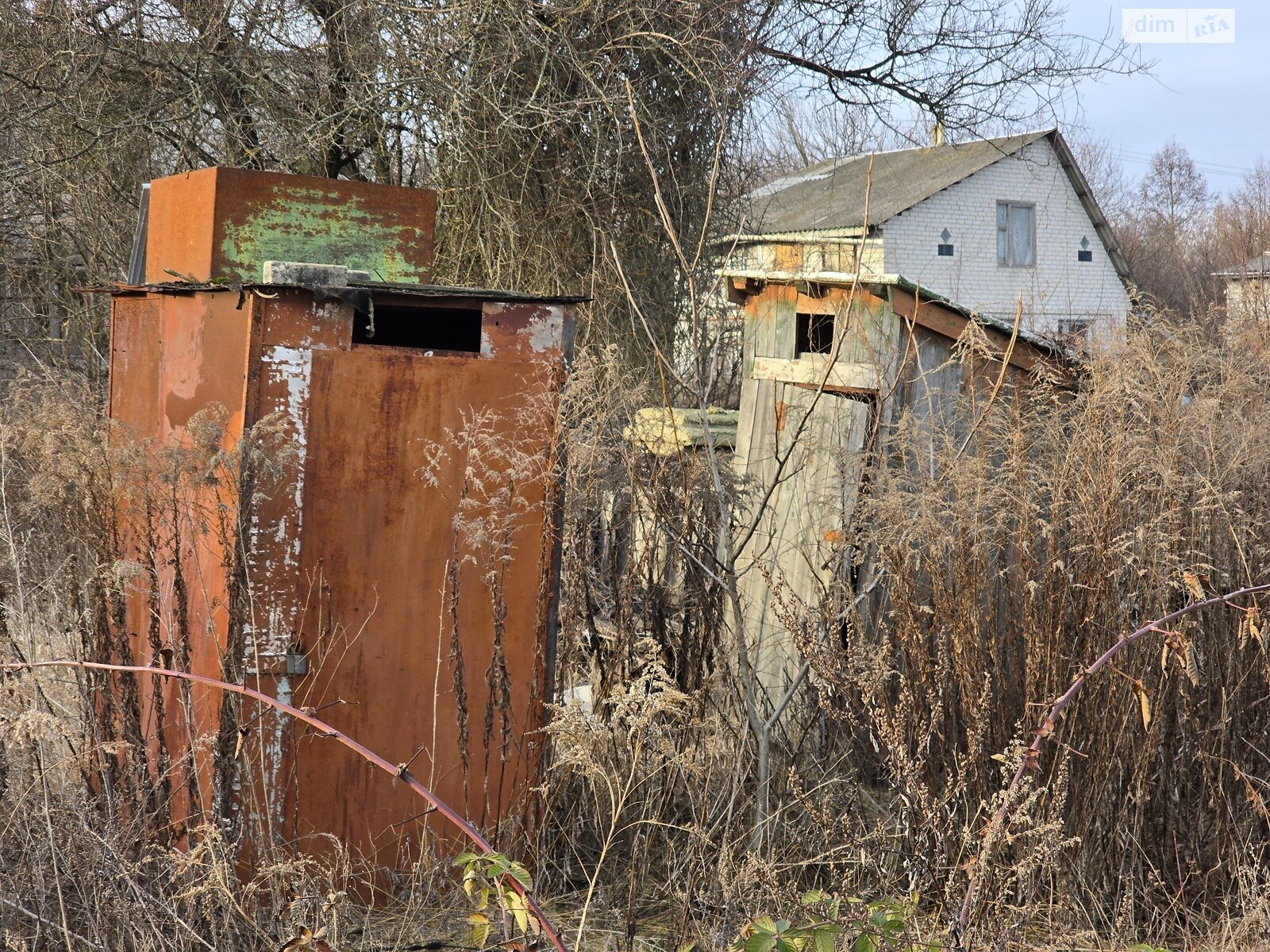 Земельный участок сельскохозяйственного назначения в Хвилево-Сорочине, площадь 5.99 сотки фото 1 Земельный участок сельскохозяйственного назначения в Хвилево-Сорочине, площадь 5.99 сотки фото 1