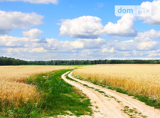 Продажа земли сельскохозяйственного назначения, Черниговская, Ичня, c. Бережовка Продажа земли сельскохозяйственного назначения, Черниговская, Ичня, c. Бережовка