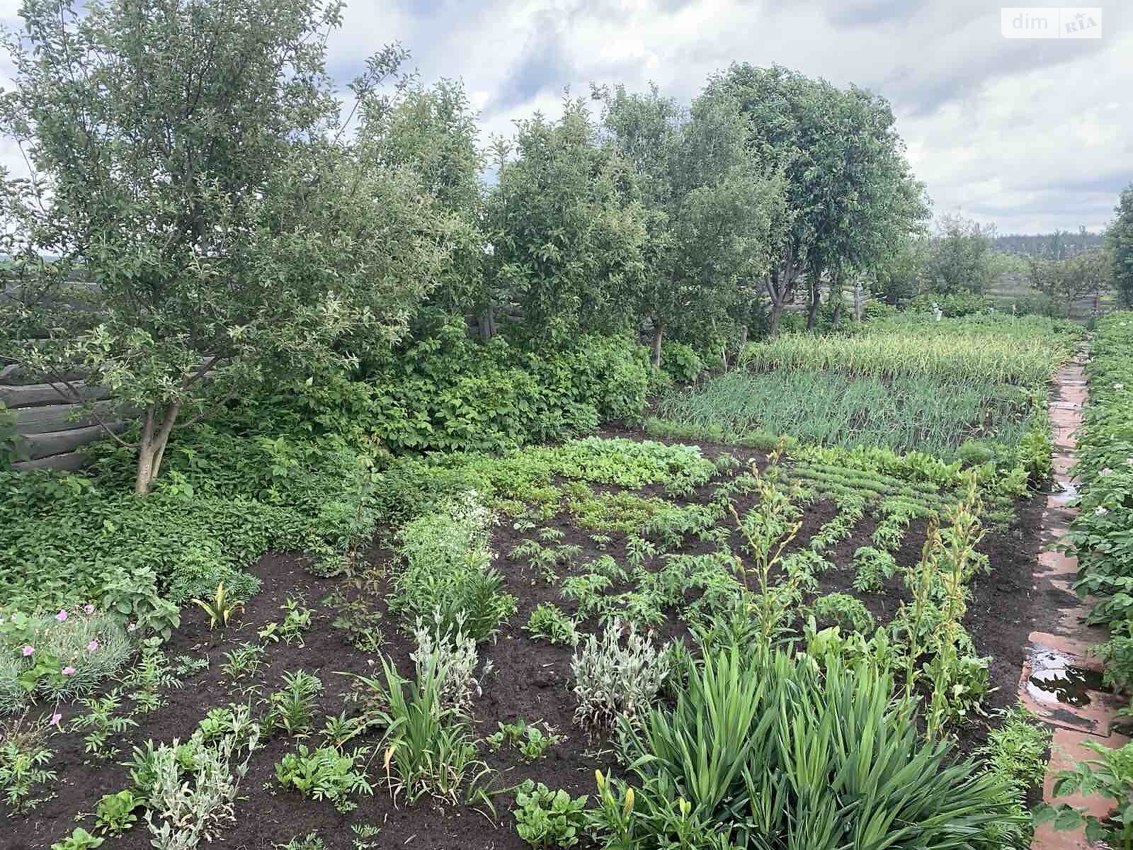 Земельна ділянка сільськогосподарського призначення в Ірпені, площа 6 соток фото 1 Земельна ділянка сільськогосподарського призначення в Ірпені, площа 6 соток фото 1
