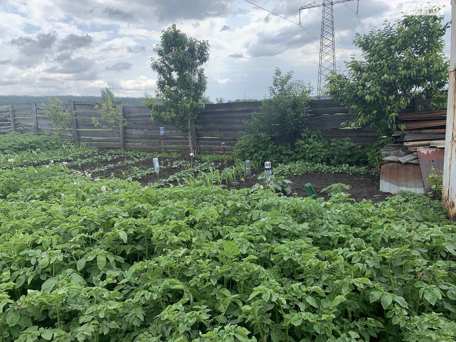 Земельна ділянка сільськогосподарського призначення в Ірпені, площа 6 соток фото 1 Земельна ділянка сільськогосподарського призначення в Ірпені, площа 6 соток фото 1