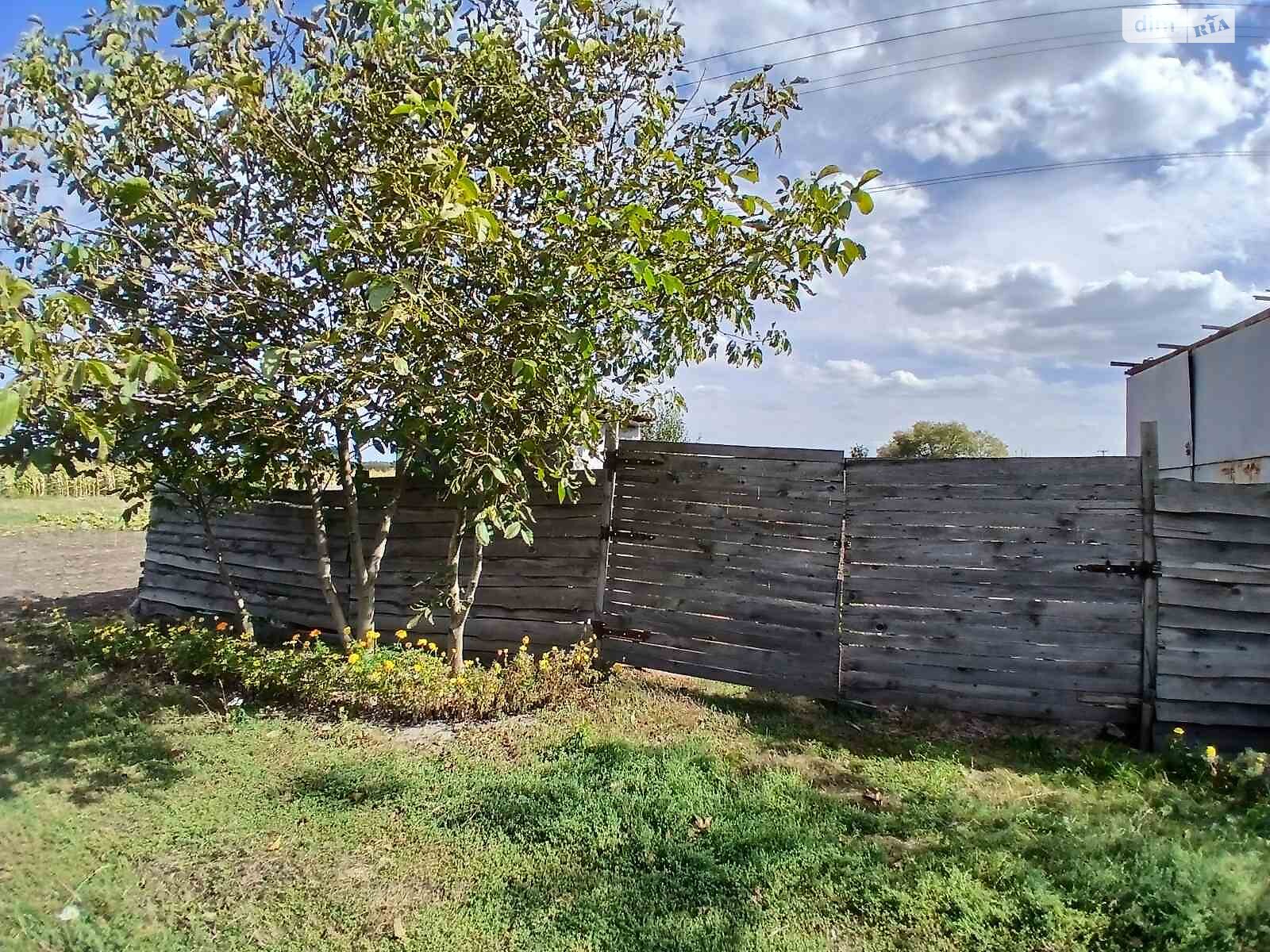 Земельна ділянка сільськогосподарського призначення в Ірпені, площа 6 соток фото 1 Земельна ділянка сільськогосподарського призначення в Ірпені, площа 6 соток фото 1