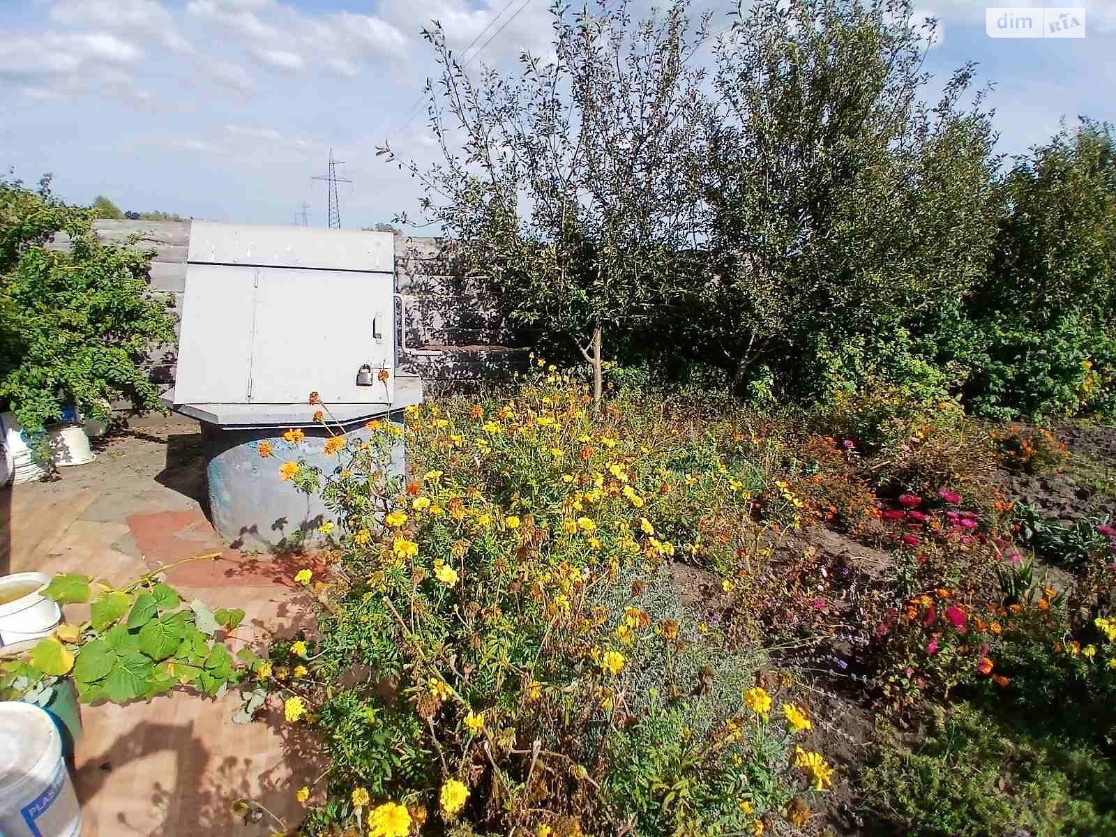 Земельна ділянка сільськогосподарського призначення в Ірпені, площа 6 соток фото 1 Земельна ділянка сільськогосподарського призначення в Ірпені, площа 6 соток фото 1