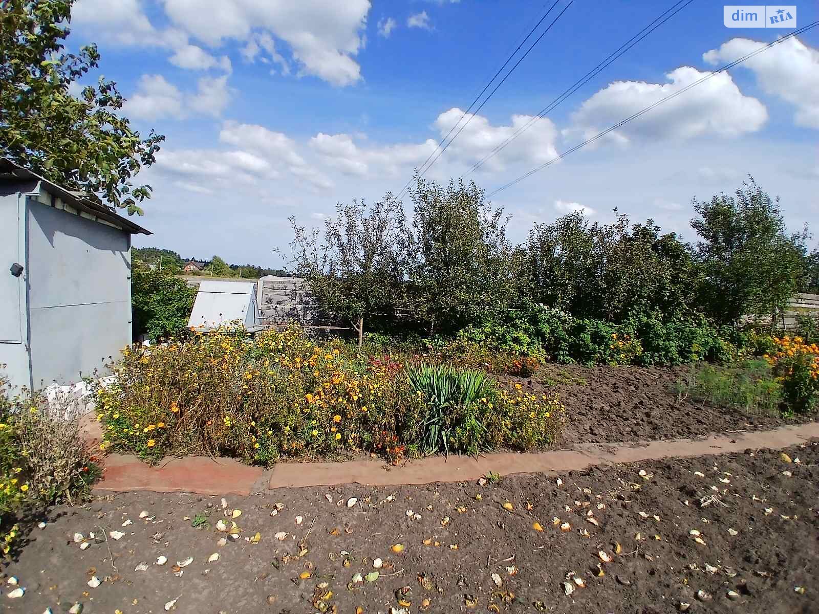 Земельна ділянка сільськогосподарського призначення в Ірпені, площа 6 соток фото 1 Земельна ділянка сільськогосподарського призначення в Ірпені, площа 6 соток фото 1