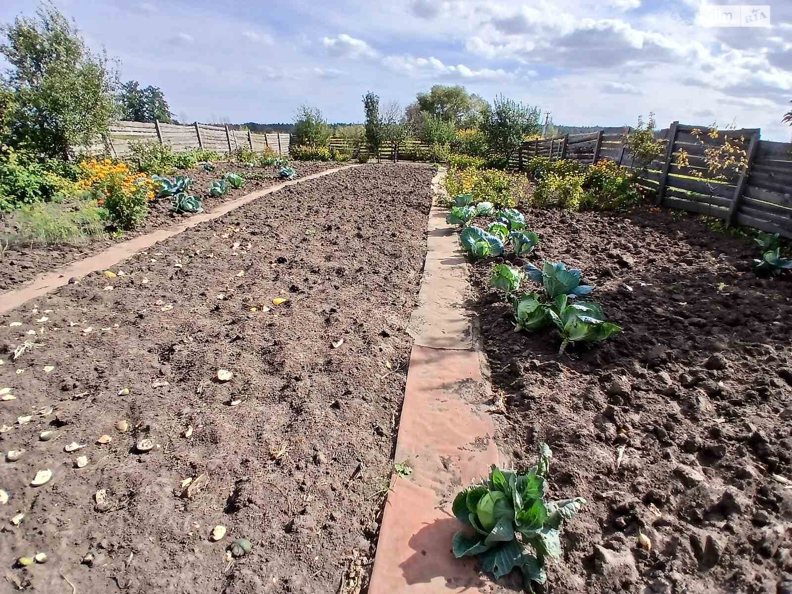 Земельна ділянка сільськогосподарського призначення в Ірпені, площа 6 соток фото 1 Земельна ділянка сільськогосподарського призначення в Ірпені, площа 6 соток фото 1