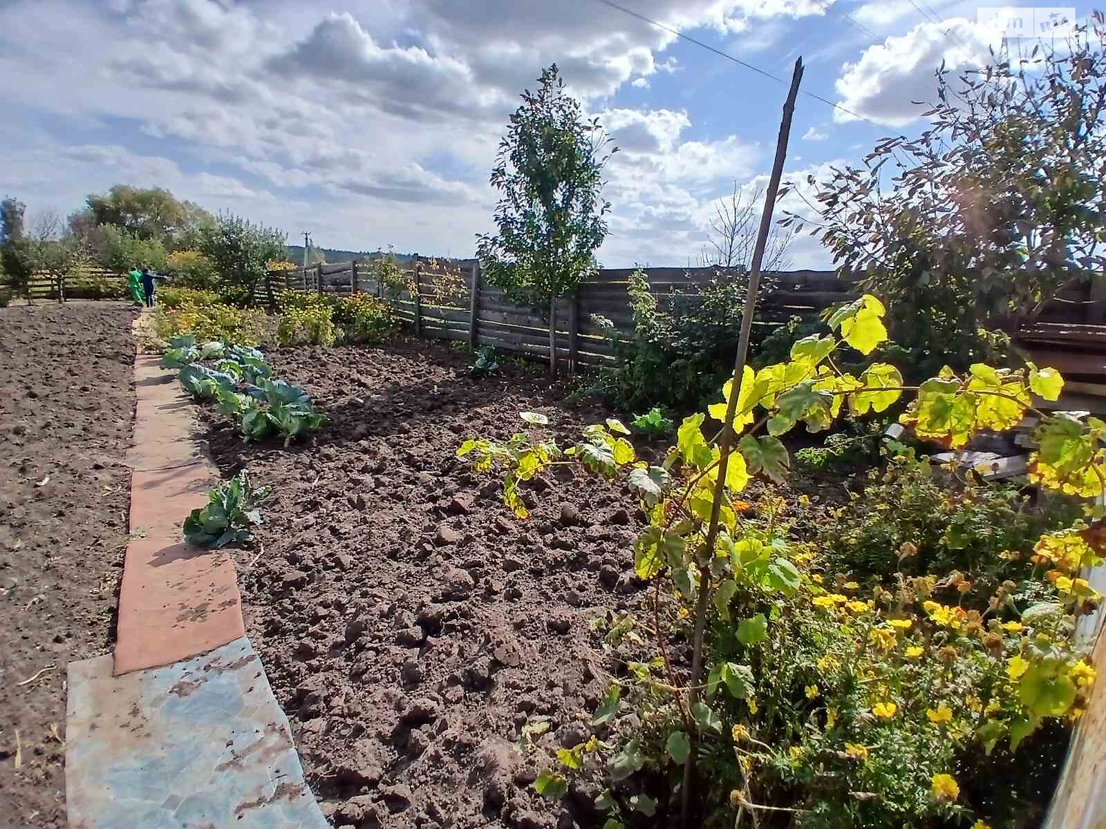 Земельна ділянка сільськогосподарського призначення в Ірпені, площа 6 соток фото 1 Земельна ділянка сільськогосподарського призначення в Ірпені, площа 6 соток фото 1