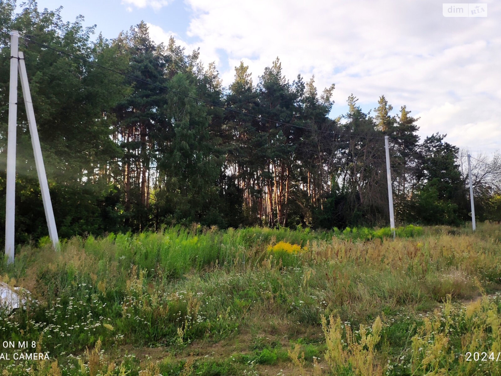 Земля сільськогосподарського призначення в Ірпені, район Ірпінь, площа 6 соток фото 1 Земля сільськогосподарського призначення в Ірпені, район Ірпінь, площа 6 соток фото 1