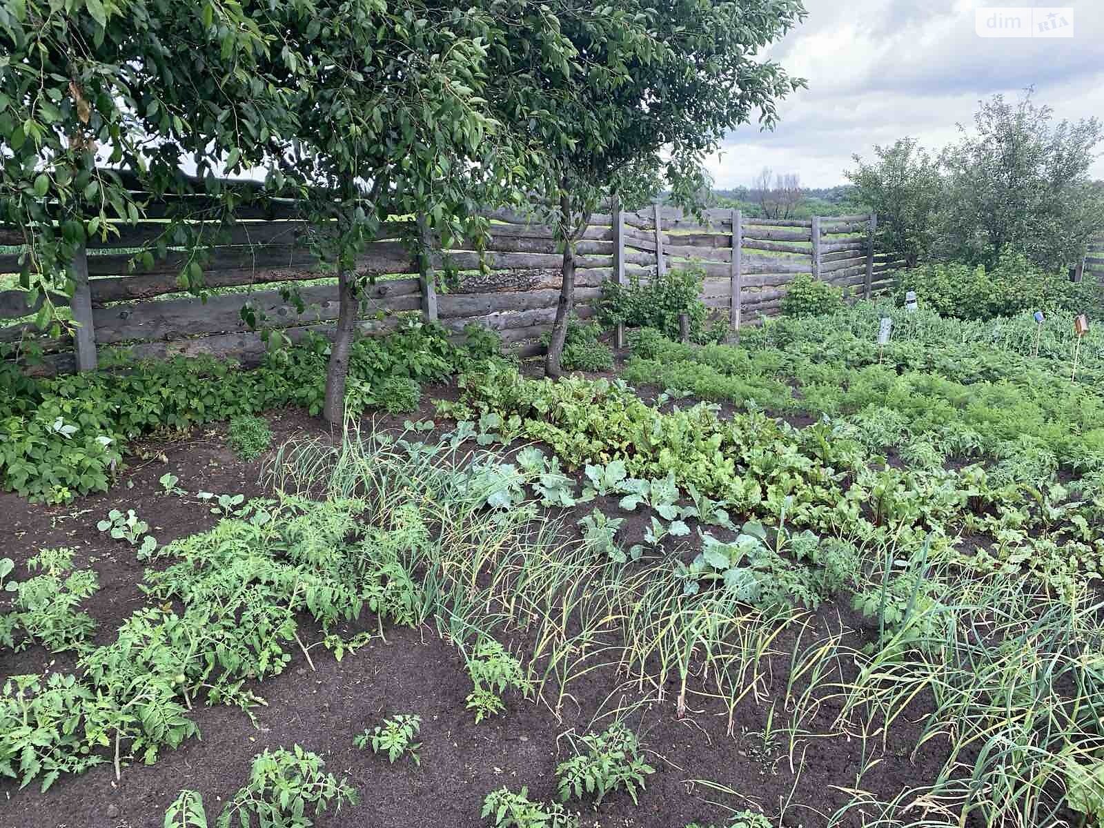 Земля сільськогосподарського призначення в Ірпені, район Ірпінь, площа 6 соток фото 1