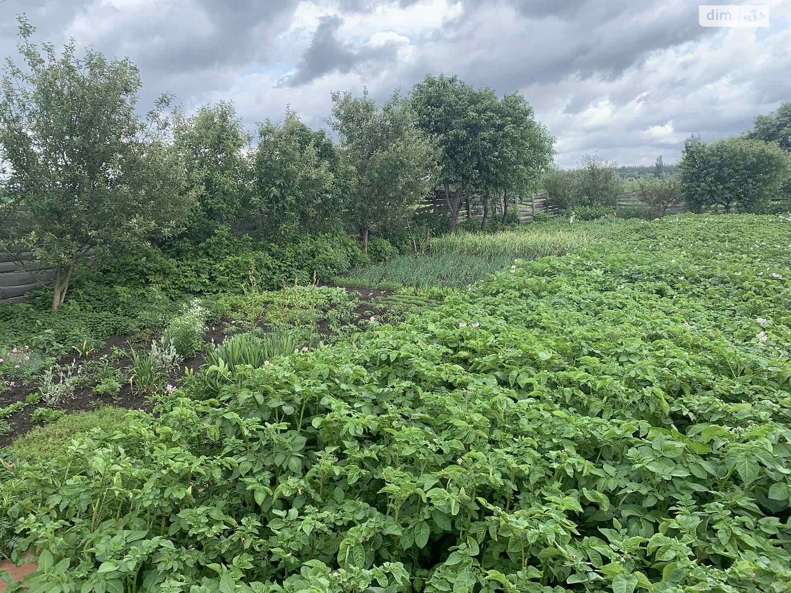 Земля сільськогосподарського призначення в Ірпені, район Ірпінь, площа 6 соток фото 1