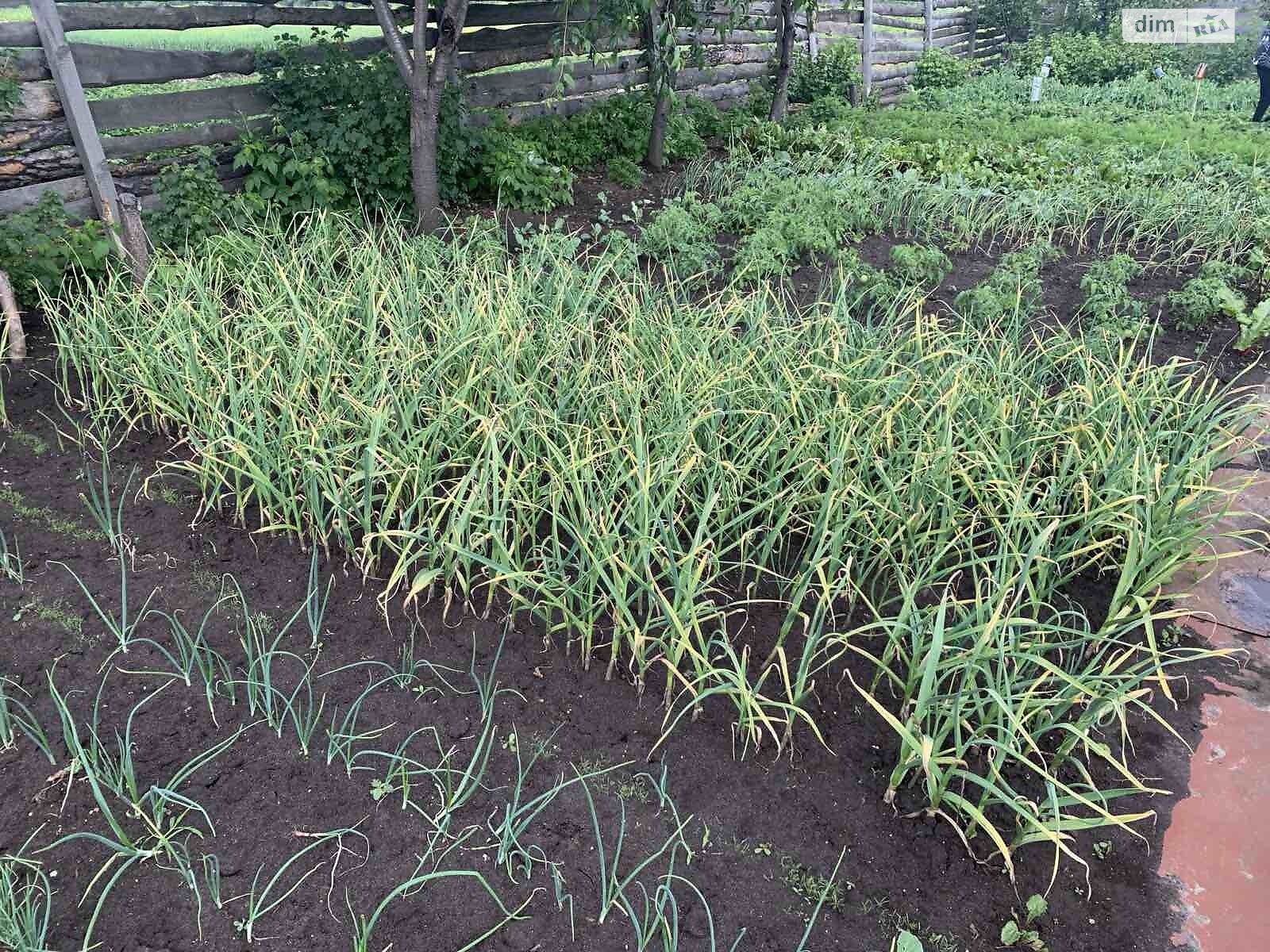 Земля сільськогосподарського призначення в Ірпені, район Ірпінь, площа 6 соток фото 1
