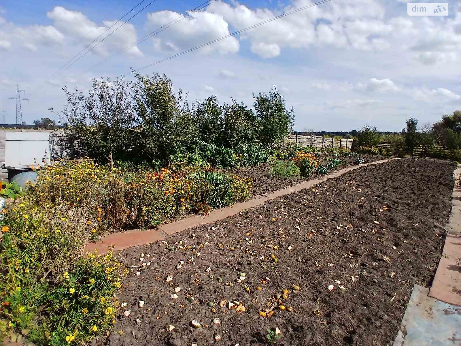Земля сільськогосподарського призначення в Ірпені, район Ірпінь, площа 6 соток фото 1