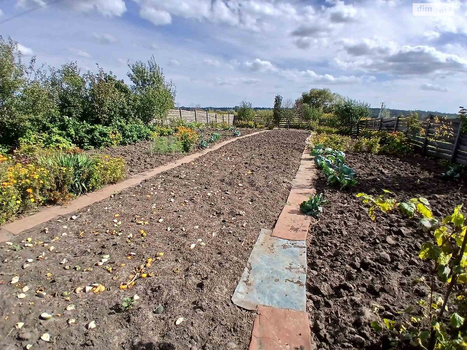 Земля сільськогосподарського призначення в Ірпені, район Ірпінь, площа 6 соток фото 1