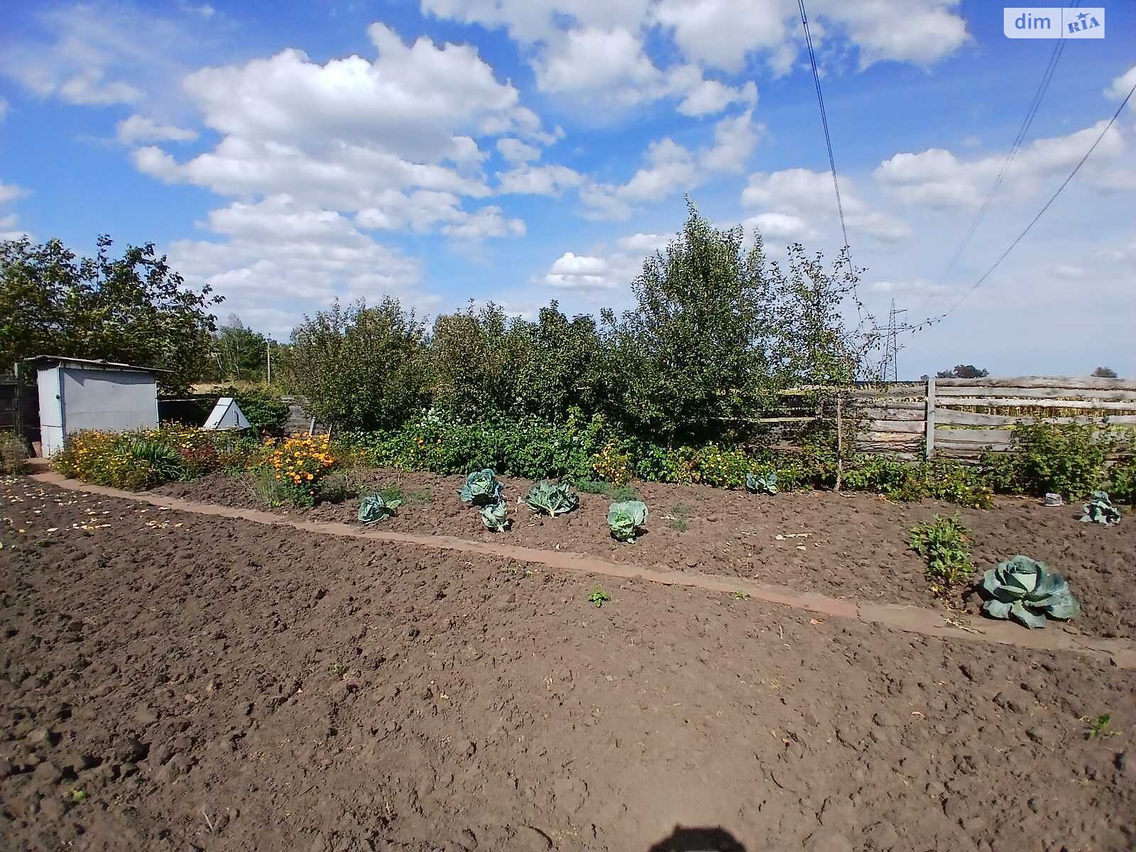 Земля сільськогосподарського призначення в Ірпені, район Ірпінь, площа 6 соток фото 1
