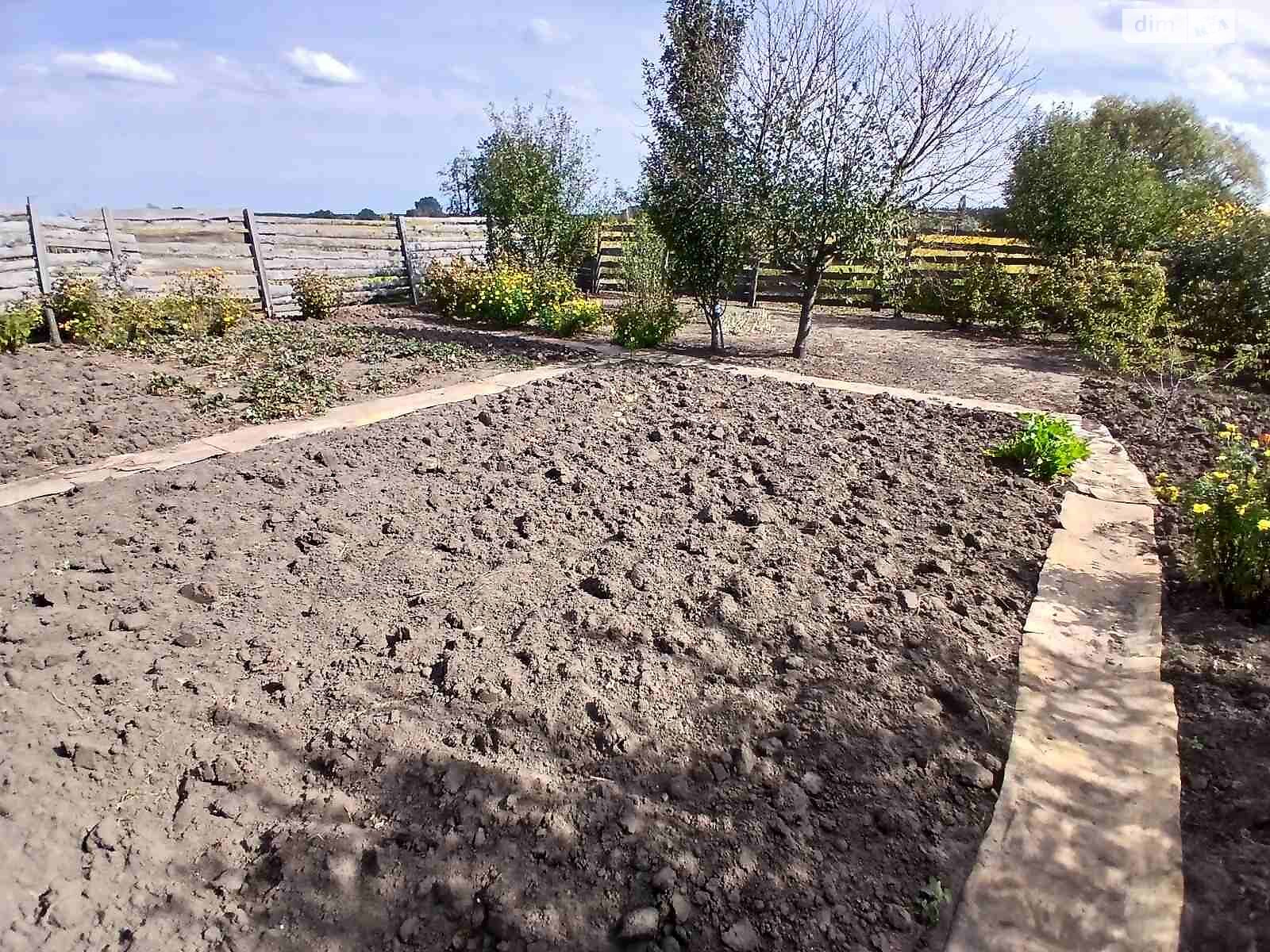 Земля сільськогосподарського призначення в Ірпені, район Ірпінь, площа 6 соток фото 1