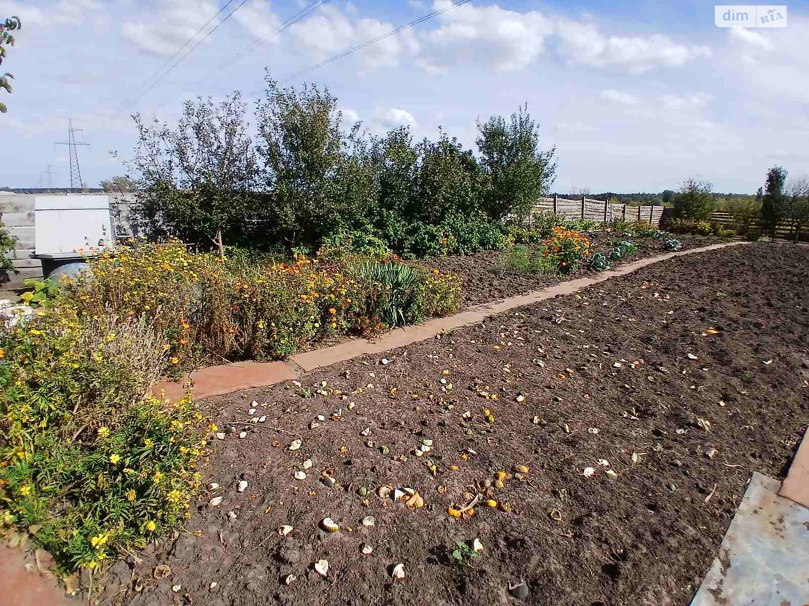 Земля сільськогосподарського призначення в Ірпені, район Ірпінь, площа 6 соток фото 1