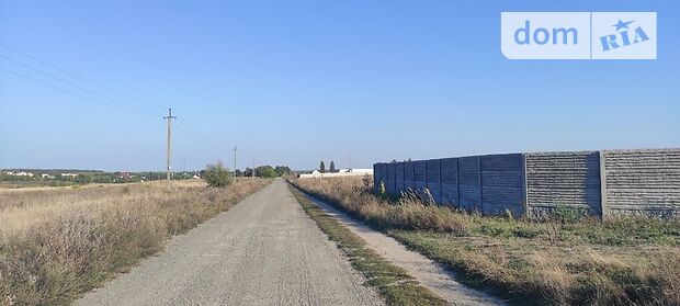 Земельна ділянка сільськогосподарського призначення в Михайлівці-Рубежівці, площа 2 Га фото 1 Земельна ділянка сільськогосподарського призначення в Михайлівці-Рубежівці, площа 2 Га фото 1