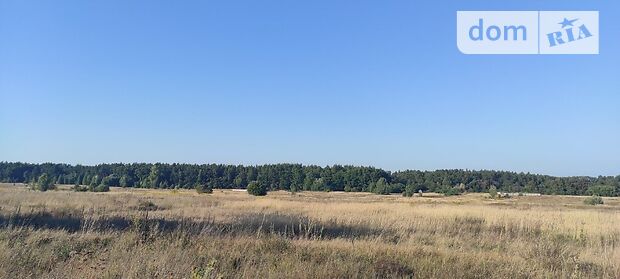 Земельна ділянка сільськогосподарського призначення в Михайлівці-Рубежівці, площа 2 Га фото 1 Земельна ділянка сільськогосподарського призначення в Михайлівці-Рубежівці, площа 2 Га фото 1