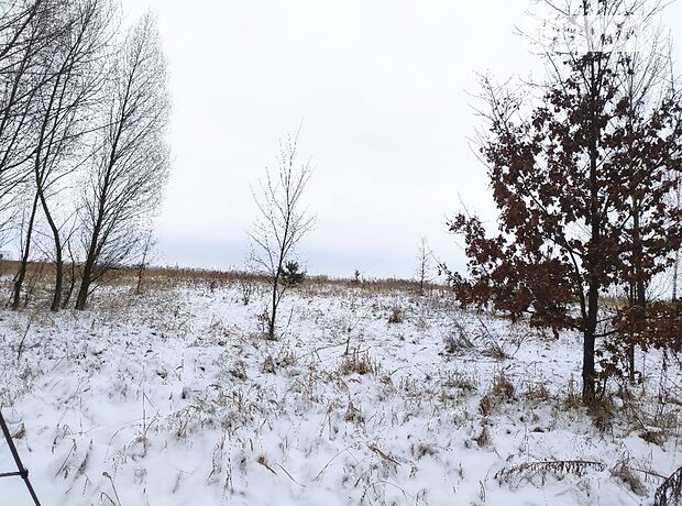 Земельна ділянка сільськогосподарського призначення в Михайлівці-Рубежівці, площа 2 Га фото 1 Земельна ділянка сільськогосподарського призначення в Михайлівці-Рубежівці, площа 2 Га фото 1