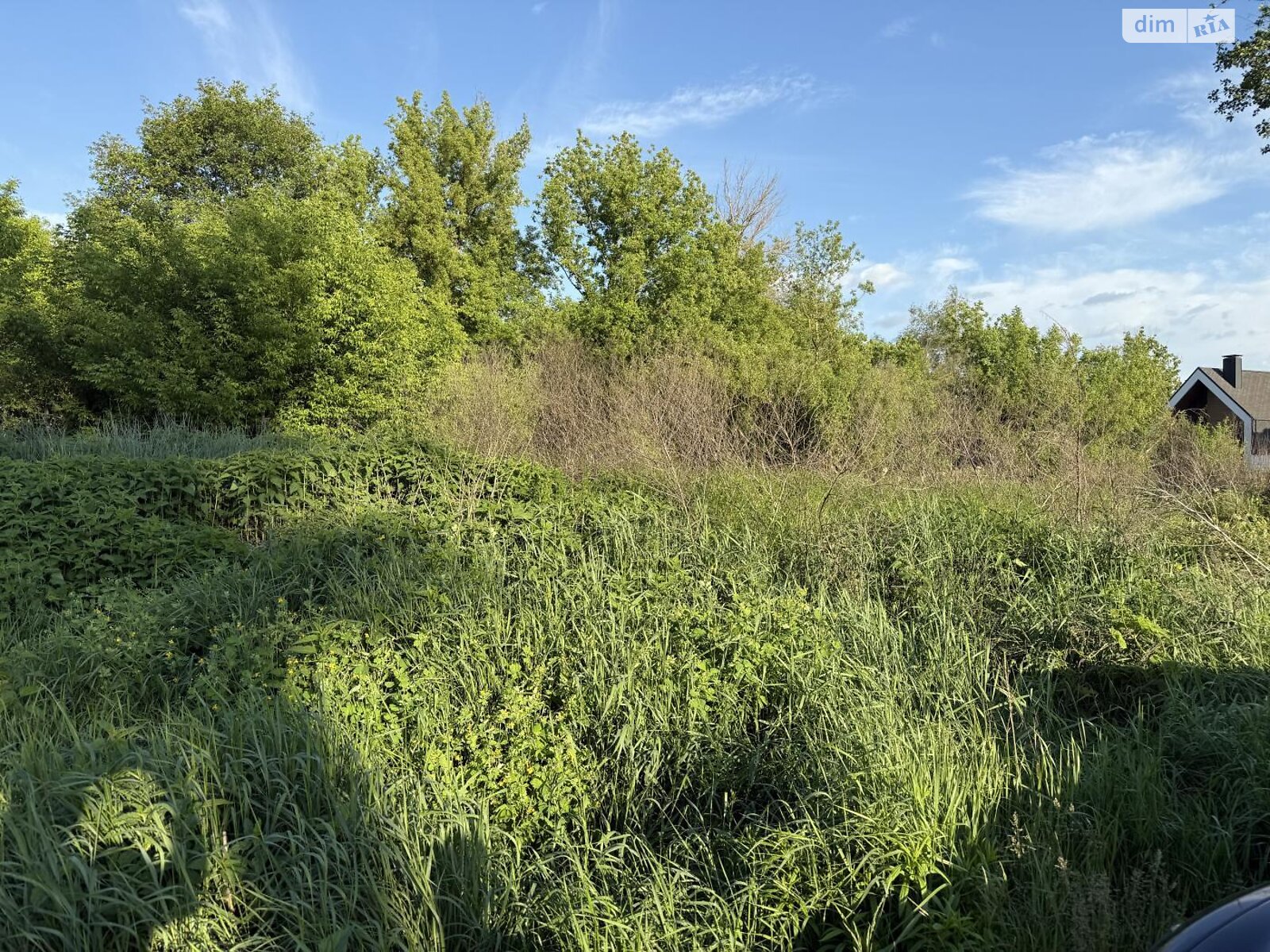 Земельный участок сельскохозяйственного назначения в Ирпене, площадь 4.56 сотки фото 1