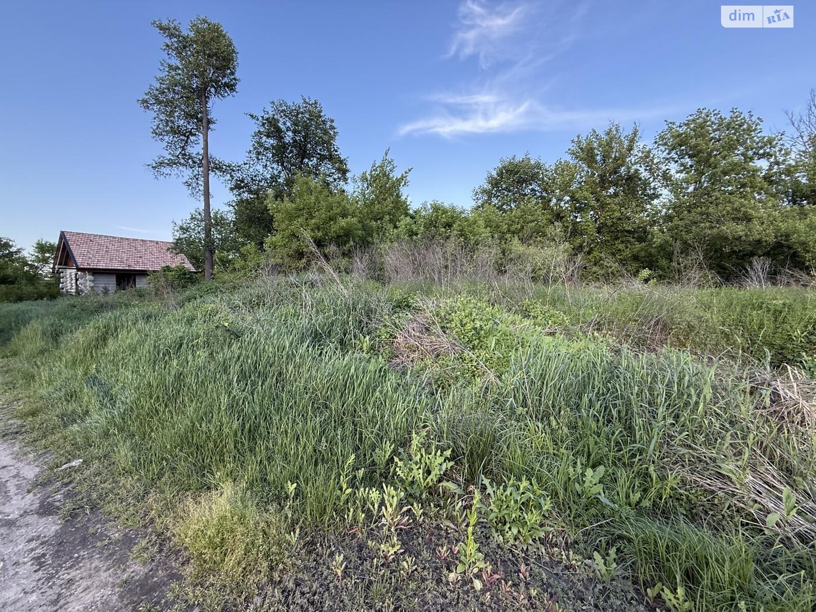 Земельный участок сельскохозяйственного назначения в Ирпене, площадь 4.56 сотки фото 1
