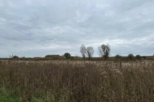 Земельный участок сельскохозяйственного назначения в Ирпене, площадь 1.6433 Га фото 2 Земельный участок сельскохозяйственного назначения в Ирпене, площадь 1.6433 Га фото 2