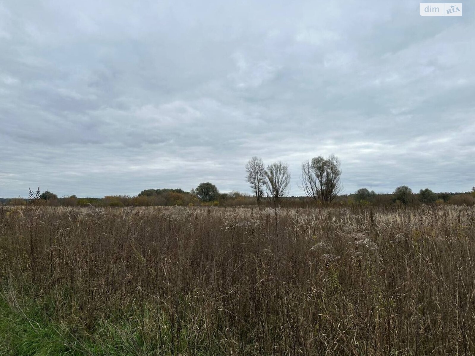 Земельный участок сельскохозяйственного назначения в Ирпене, площадь 1.6433 Га фото 1 Земельный участок сельскохозяйственного назначения в Ирпене, площадь 1.6433 Га фото 1