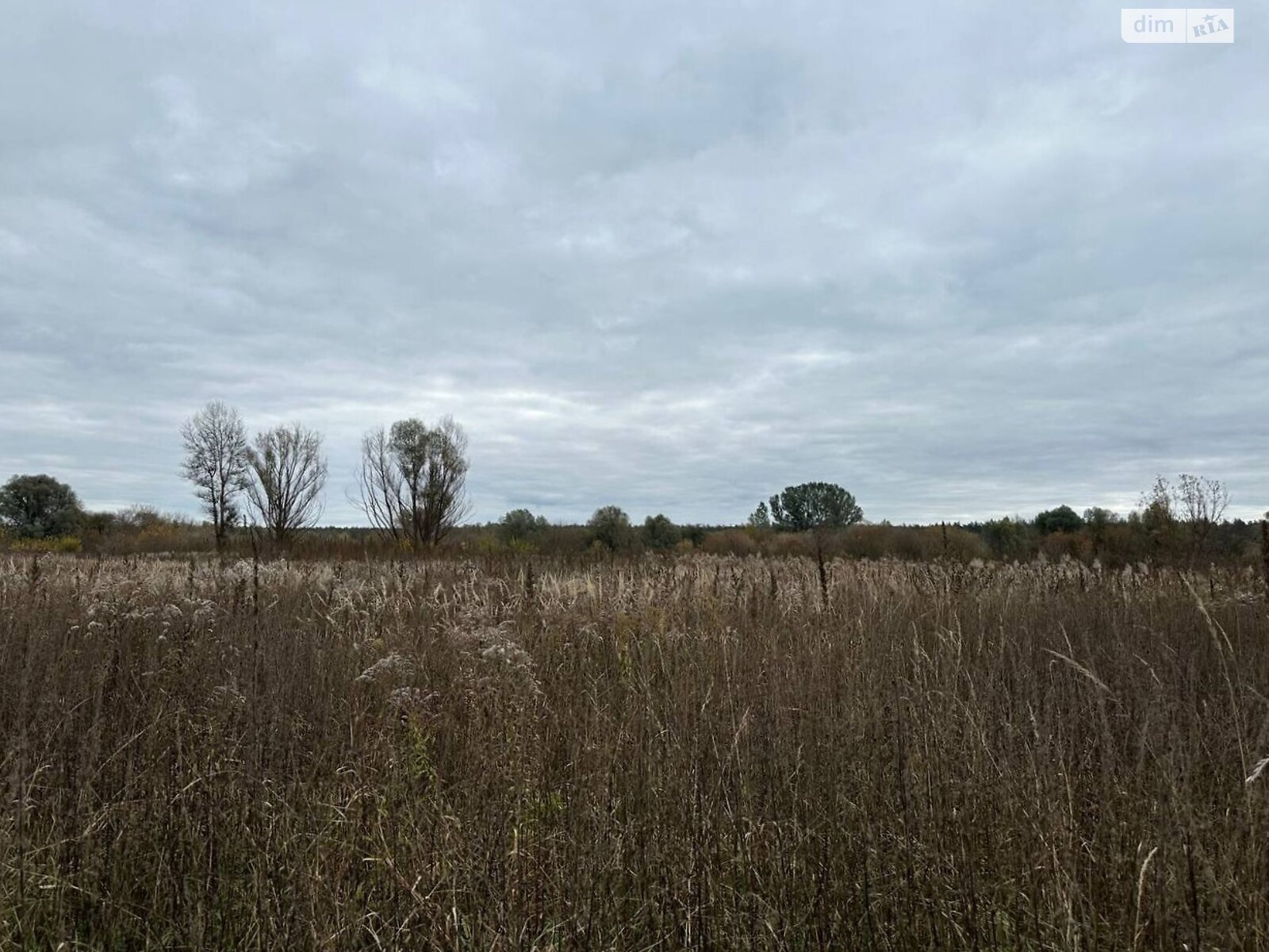 Земельный участок сельскохозяйственного назначения в Ирпене, площадь 1.6433 Га фото 1 Земельный участок сельскохозяйственного назначения в Ирпене, площадь 1.6433 Га фото 1