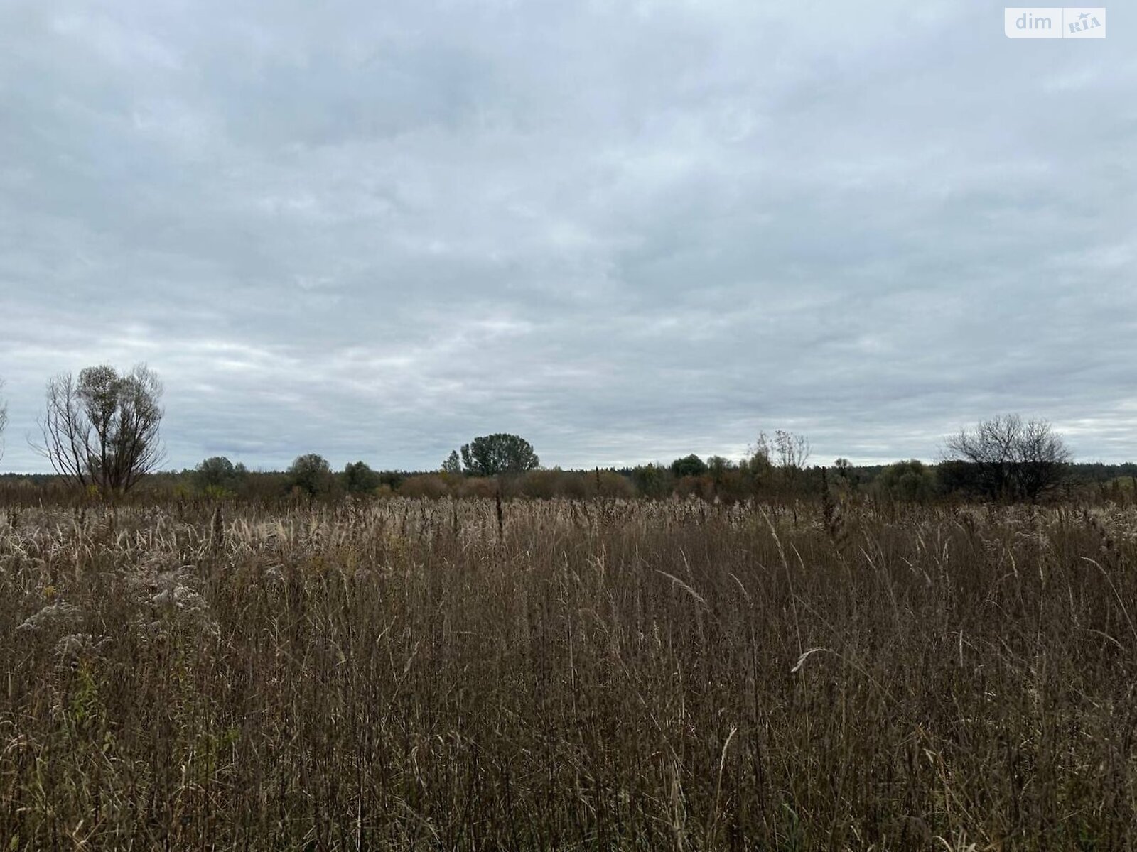 Земельный участок сельскохозяйственного назначения в Ирпене, площадь 1.6433 Га фото 1 Земельный участок сельскохозяйственного назначения в Ирпене, площадь 1.6433 Га фото 1