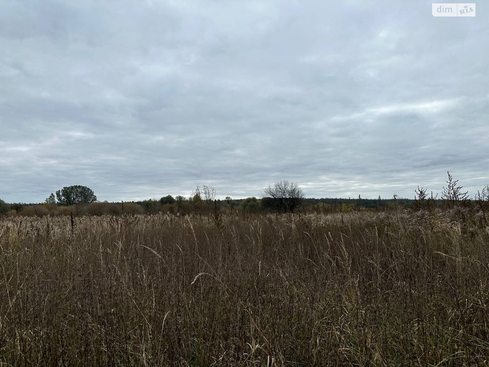 Земельный участок сельскохозяйственного назначения в Ирпене, площадь 1.6433 Га фото 1 Земельный участок сельскохозяйственного назначения в Ирпене, площадь 1.6433 Га фото 1