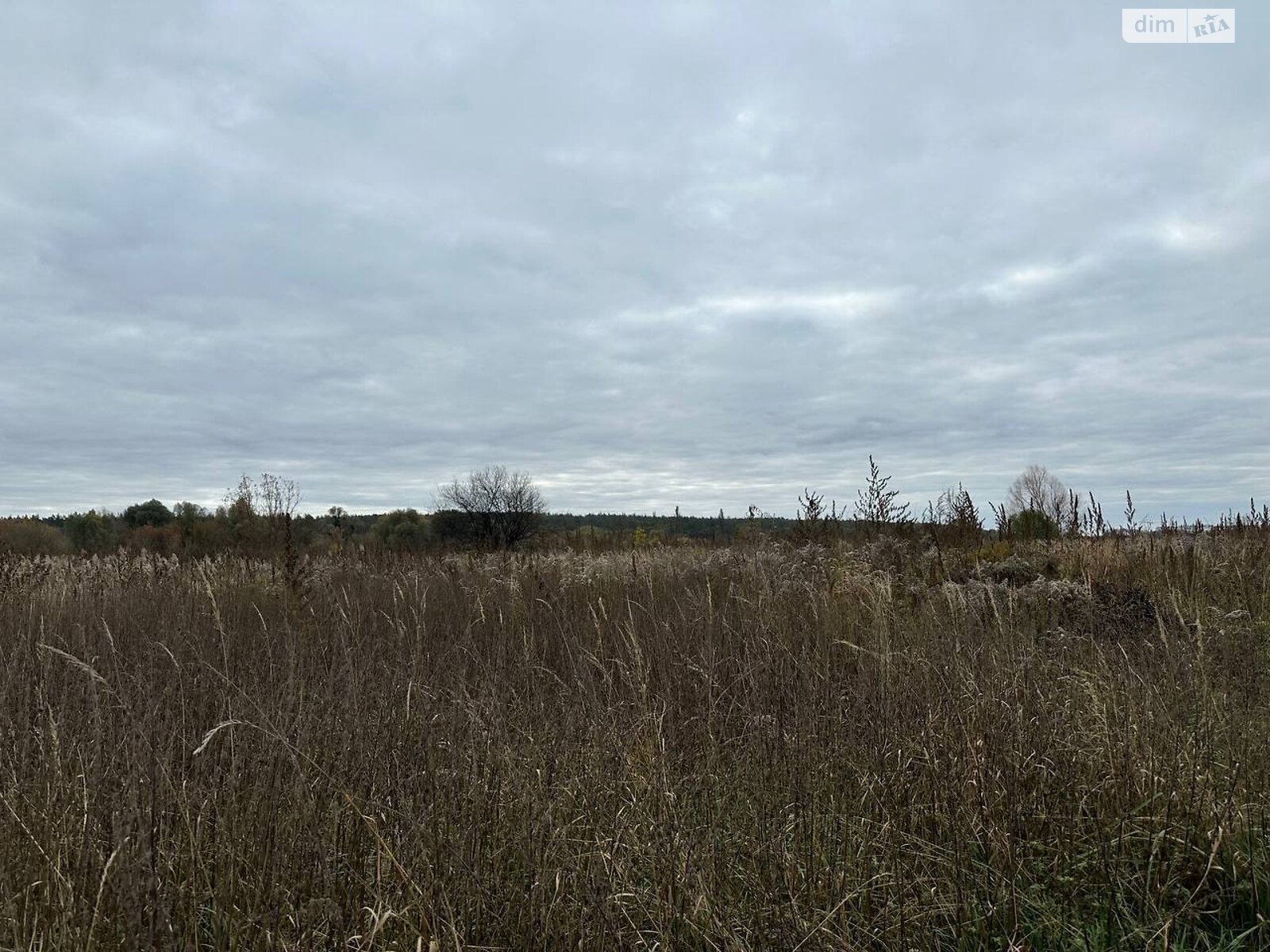 Земельный участок сельскохозяйственного назначения в Ирпене, площадь 1.6433 Га фото 1 Земельный участок сельскохозяйственного назначения в Ирпене, площадь 1.6433 Га фото 1