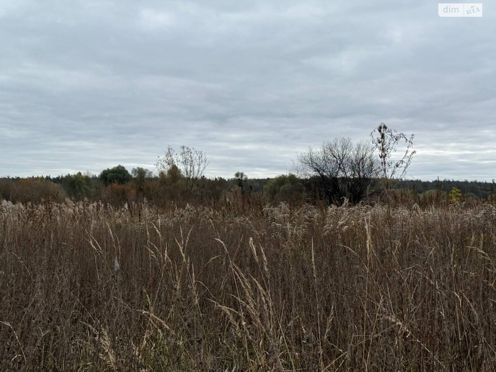 Земельный участок сельскохозяйственного назначения в Ирпене, площадь 1.6433 Га фото 1 Земельный участок сельскохозяйственного назначения в Ирпене, площадь 1.6433 Га фото 1