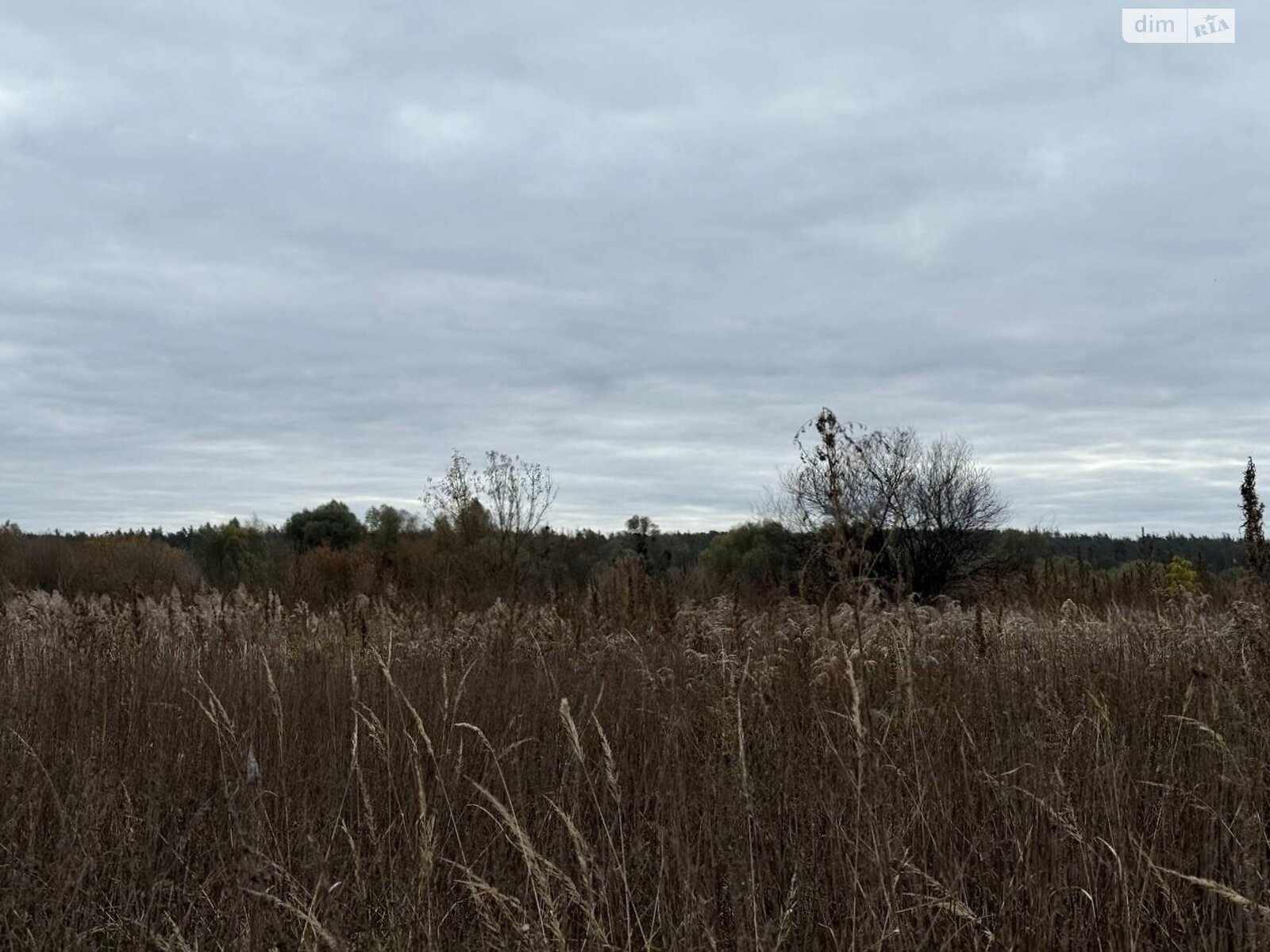 Земельный участок сельскохозяйственного назначения в Ирпене, площадь 1.6433 Га фото 1 Земельный участок сельскохозяйственного назначения в Ирпене, площадь 1.6433 Га фото 1