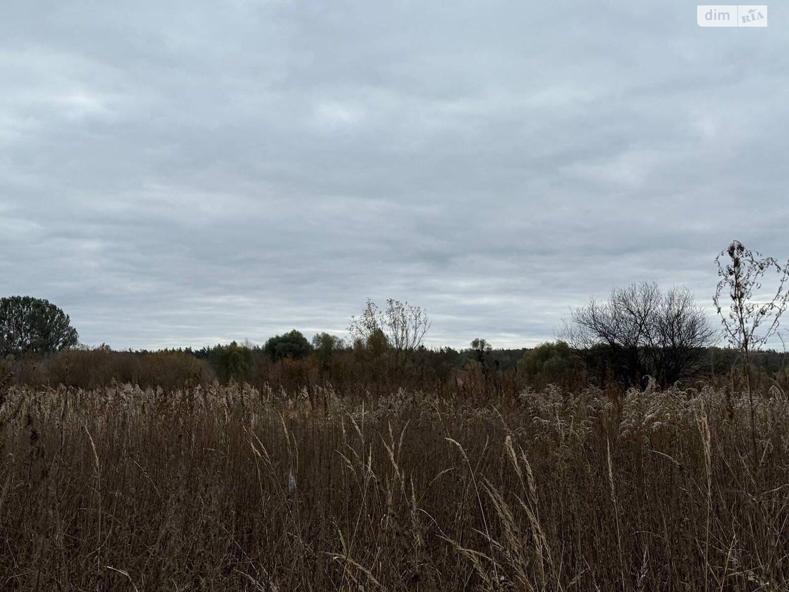 Земельный участок сельскохозяйственного назначения в Ирпене, площадь 1.6433 Га фото 1 Земельный участок сельскохозяйственного назначения в Ирпене, площадь 1.6433 Га фото 1
