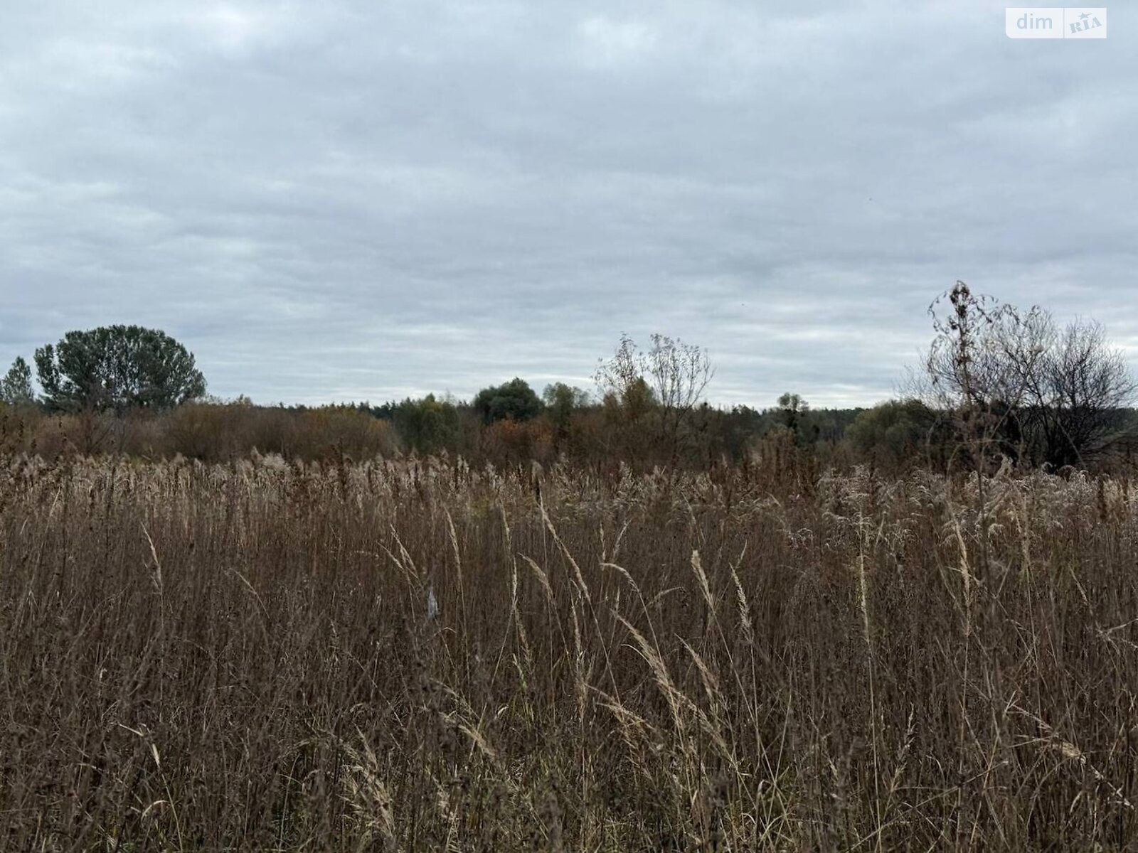 Земельный участок сельскохозяйственного назначения в Ирпене, площадь 1.6433 Га фото 1 Земельный участок сельскохозяйственного назначения в Ирпене, площадь 1.6433 Га фото 1