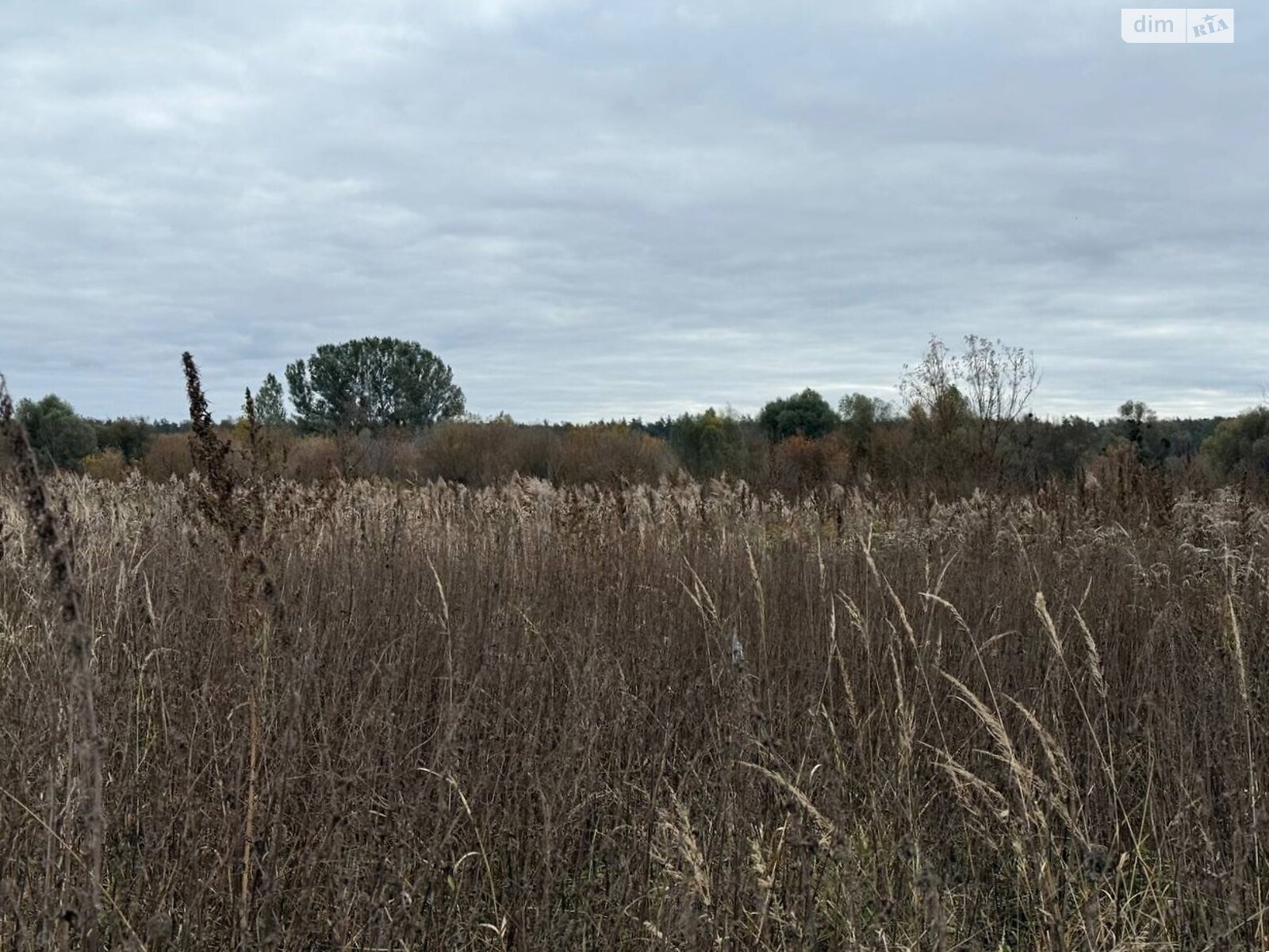 Земельный участок сельскохозяйственного назначения в Ирпене, площадь 1.6433 Га фото 1 Земельный участок сельскохозяйственного назначения в Ирпене, площадь 1.6433 Га фото 1