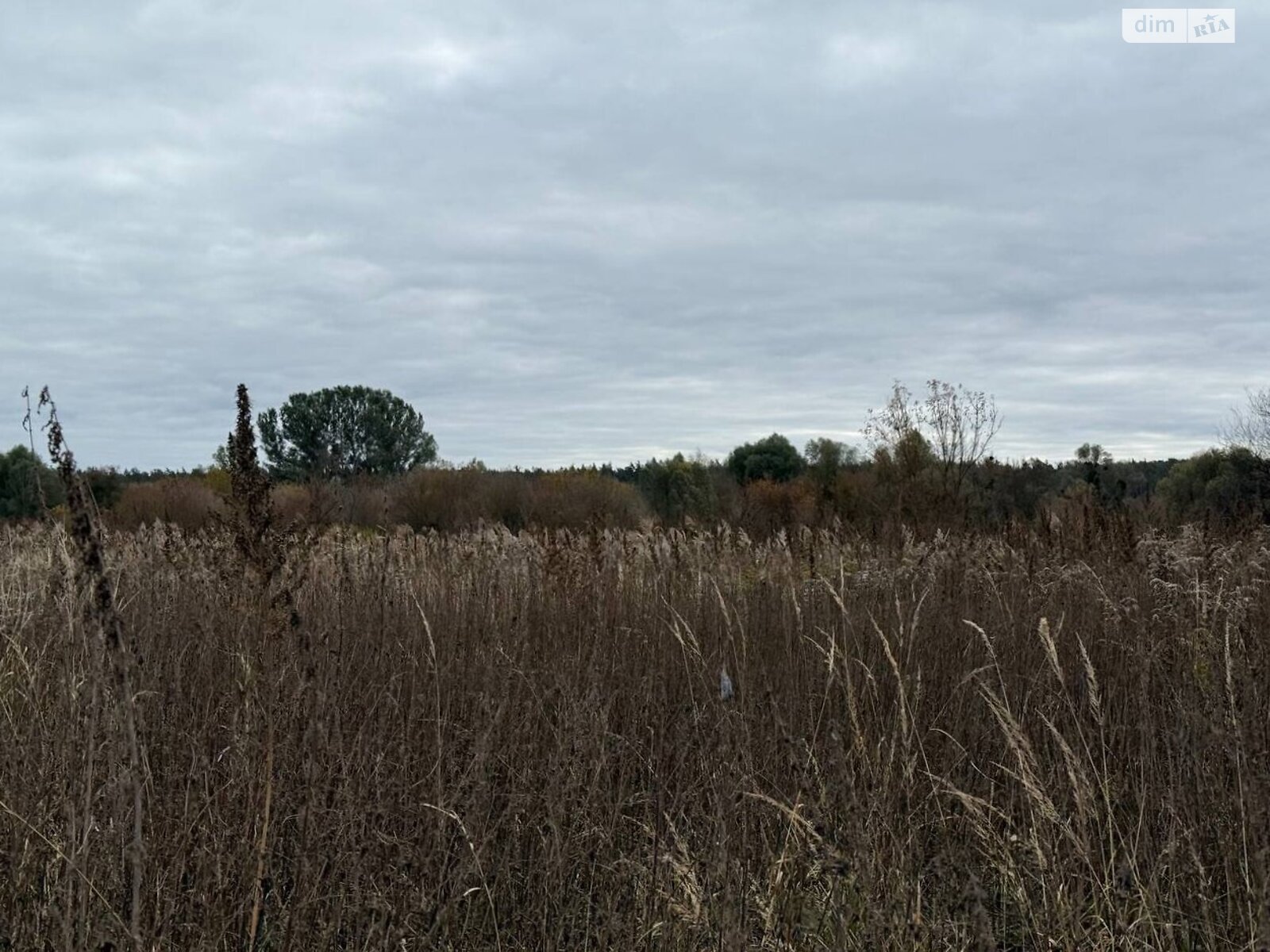 Земельный участок сельскохозяйственного назначения в Ирпене, площадь 1.6433 Га фото 1 Земельный участок сельскохозяйственного назначения в Ирпене, площадь 1.6433 Га фото 1