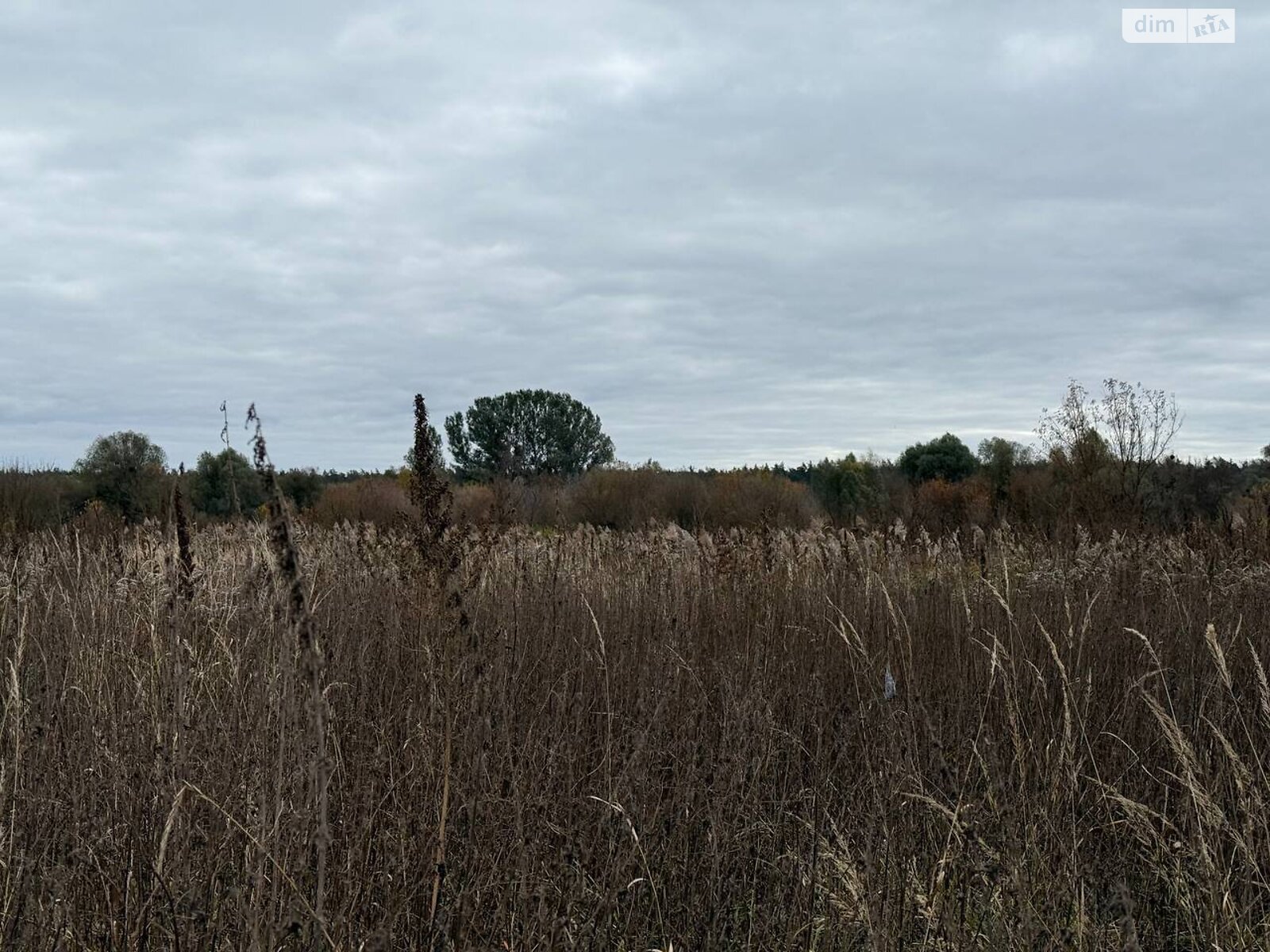 Земельный участок сельскохозяйственного назначения в Ирпене, площадь 1.6433 Га фото 1 Земельный участок сельскохозяйственного назначения в Ирпене, площадь 1.6433 Га фото 1