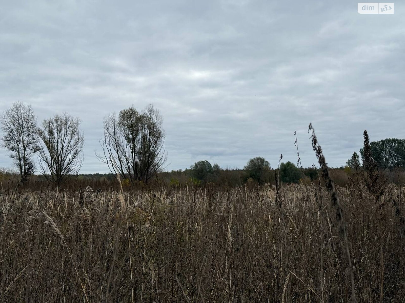 Земельный участок сельскохозяйственного назначения в Ирпене, площадь 1.6433 Га фото 1 Земельный участок сельскохозяйственного назначения в Ирпене, площадь 1.6433 Га фото 1