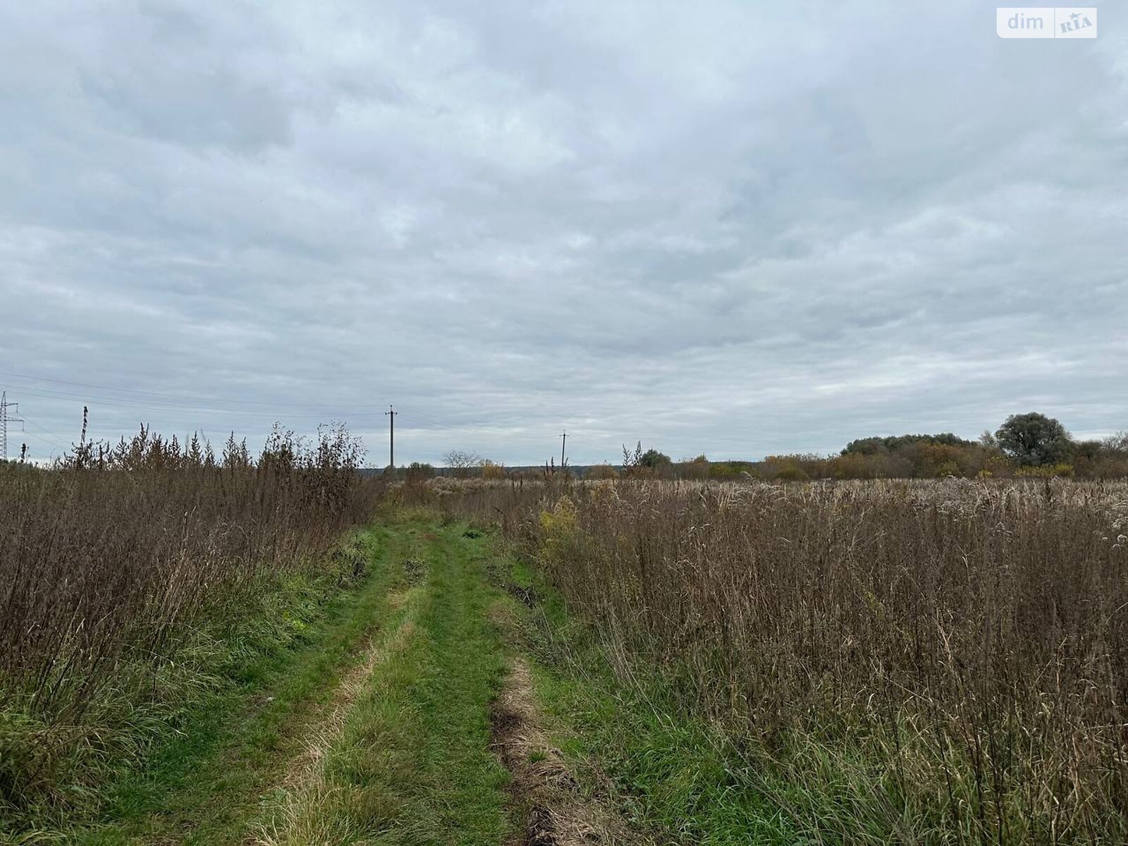 Земельный участок сельскохозяйственного назначения в Ирпене, площадь 1.6433 Га фото 1 Земельный участок сельскохозяйственного назначения в Ирпене, площадь 1.6433 Га фото 1