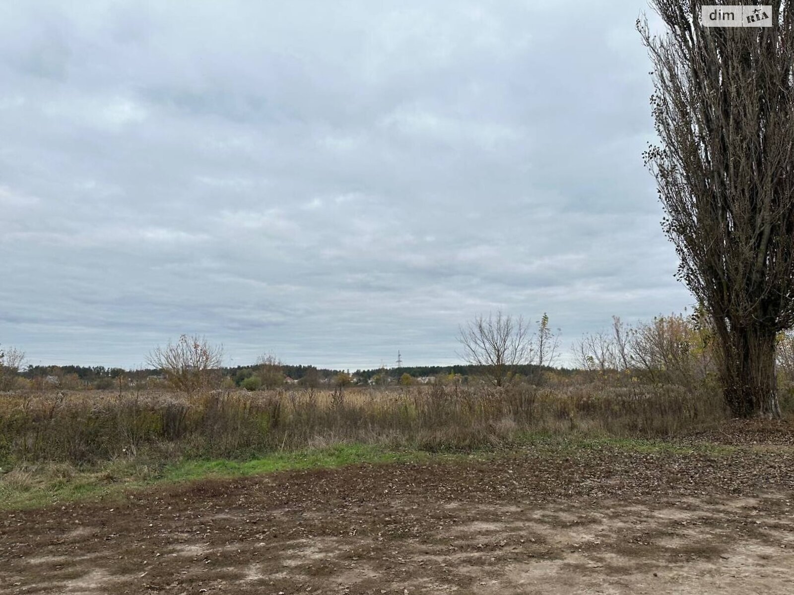 Земельный участок сельскохозяйственного назначения в Ирпене, площадь 1.6433 Га фото 1 Земельный участок сельскохозяйственного назначения в Ирпене, площадь 1.6433 Га фото 1