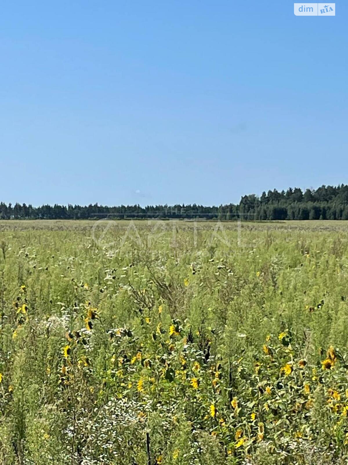 Земельный участок сельскохозяйственного назначения в Иванкове, площадь 110300 соток фото 1