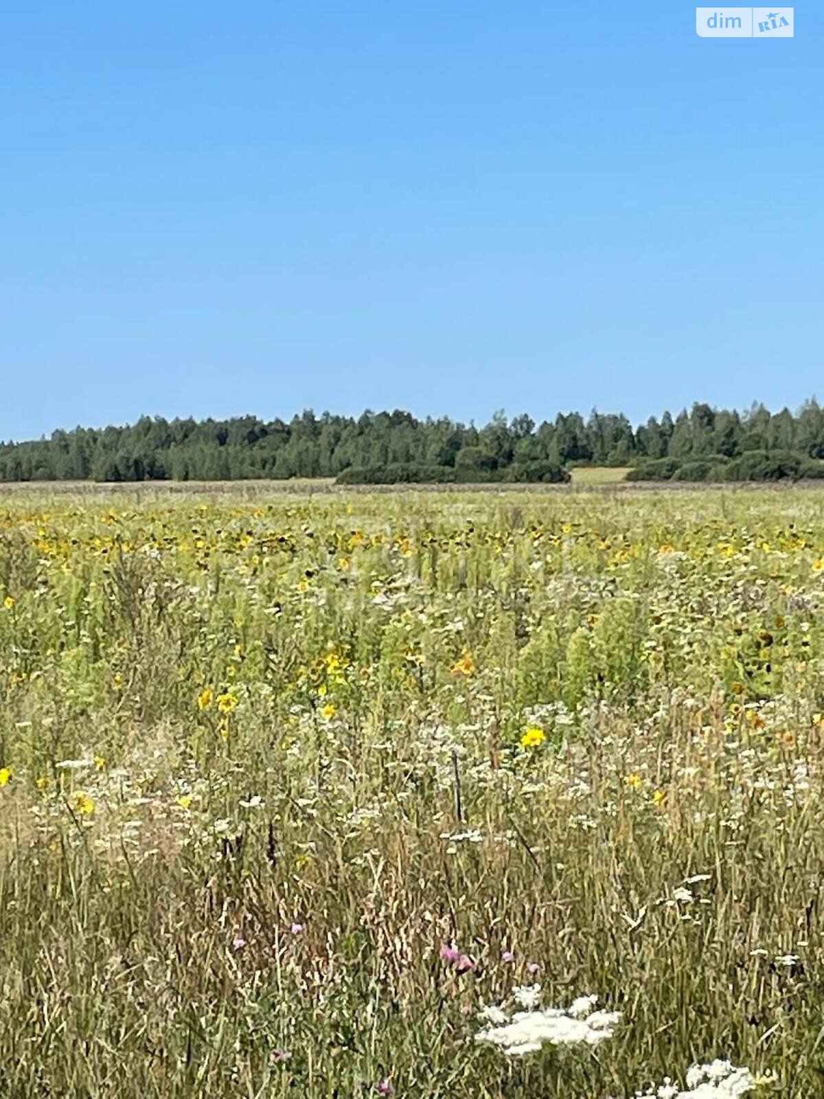 Земельный участок сельскохозяйственного назначения в Иванкове, площадь 110300 соток фото 1