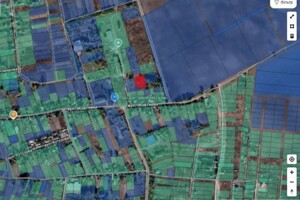 Земельна ділянка сільськогосподарського призначення в Іванкові, площа 25 соток фото 2