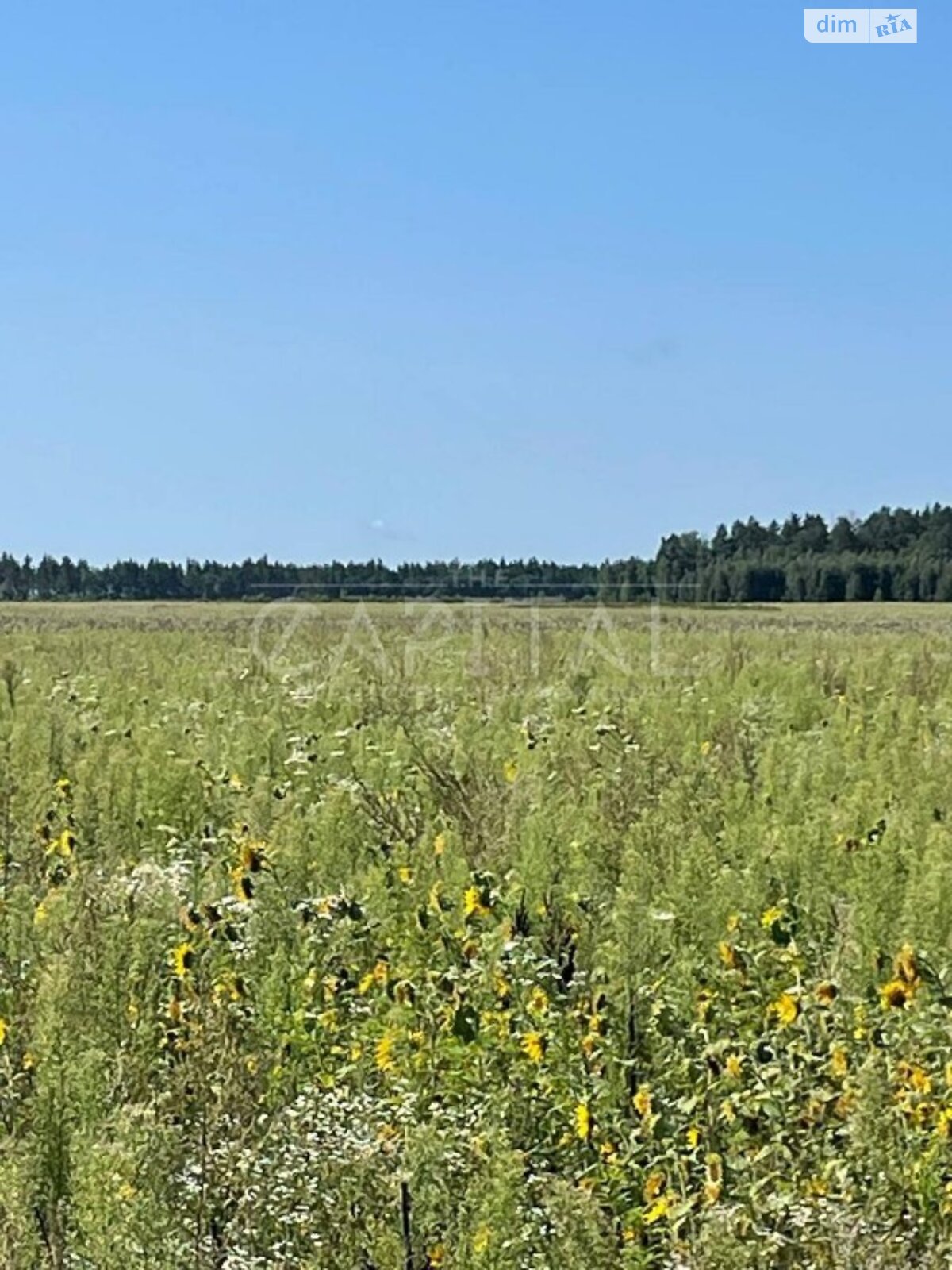 Земля сельскохозяйственного назначения в Иванкове, район Иванков, площадь 110300 соток фото 1