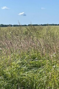 Земля сельскохозяйственного назначения в Иванкове, район Иванков, площадь 110300 соток фото 2