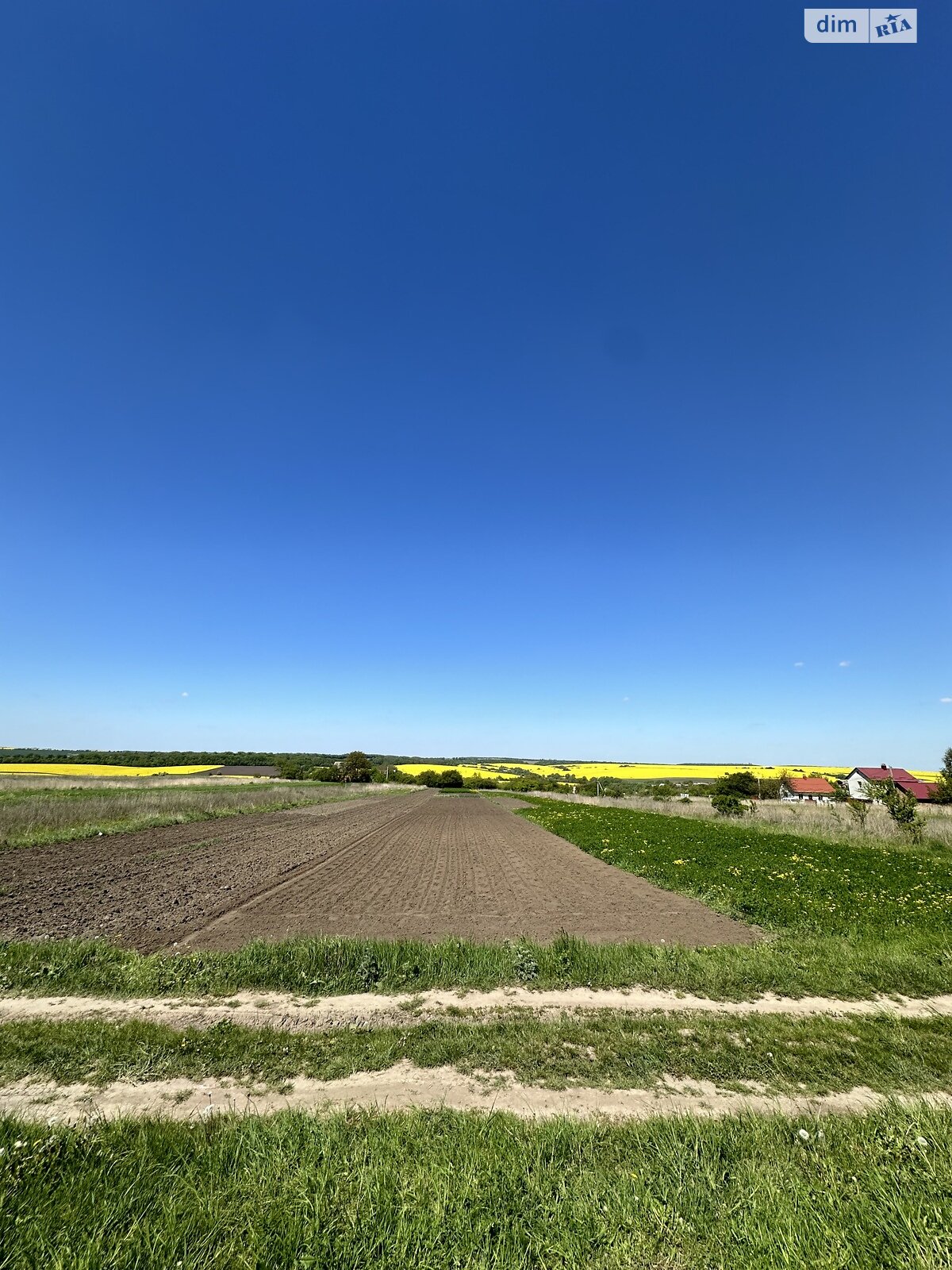 Земельный участок сельскохозяйственного назначения в Иванковцах, площадь 20 соток фото 1