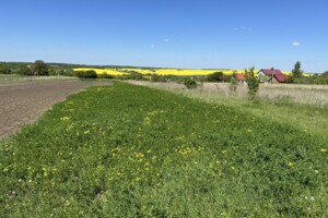 Земельна ділянка сільськогосподарського призначення в Іванківцях, площа 20 соток фото 2